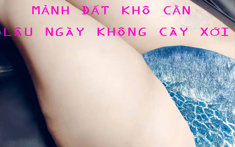 Sỉ Dương vật mềm mại cao cấp FLEXI  chính hãng